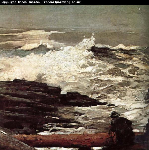 Winslow Homer Driftwood